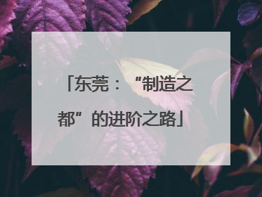 东莞：“制造之都”的进阶之路