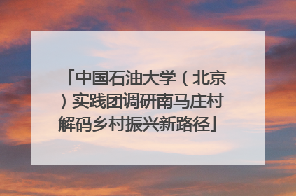 中国石油大学（北京）实践团调研南马庄村解码乡村振兴新路径