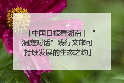 中国日报看湖南｜“洞庭对话”践行文旅可持续发展的生态之约