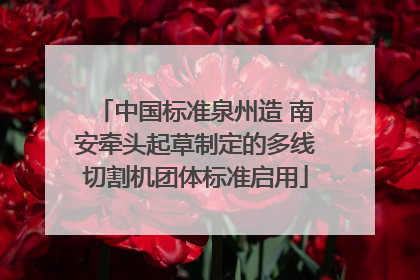 中国标准泉州造 南安牵头起草制定的多线切割机团体标准启用