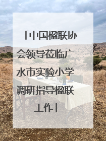 中国楹联协会领导莅临广水市实验小学调研指导楹联工作
