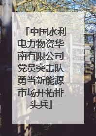 中国水利电力物资华南有限公司党员突击队勇当新能源市场开拓排头兵