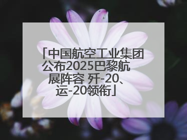 中国航空工业集团公布2025巴黎航展阵容 歼-20、运-20领衔