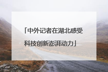 中外记者在湖北感受科技创新澎湃动力