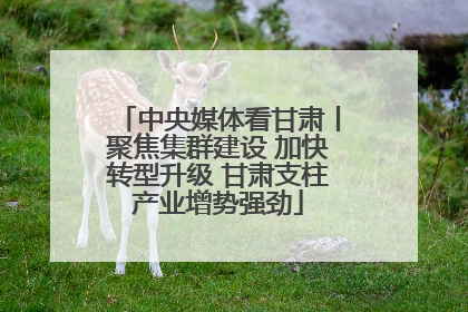中央媒体看甘肃丨聚焦集群建设 加快转型升级 甘肃支柱产业增势强劲