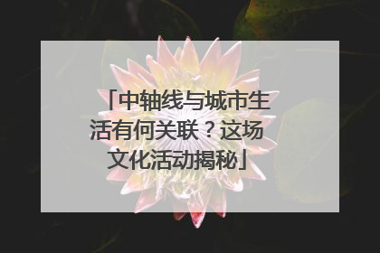 中轴线与城市生活有何关联？这场文化活动揭秘