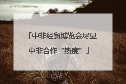 中非经贸博览会尽显中非合作“热度”