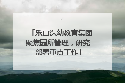 乐山洙幼教育集团聚焦园所管理，研究部署重点工作