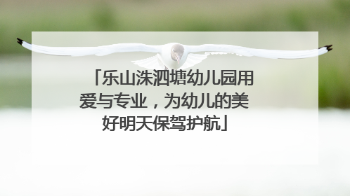乐山洙泗塘幼儿园用爱与专业，为幼儿的美好明天保驾护航
