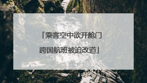 乘客空中欲开舱门 跨国航班被迫改道