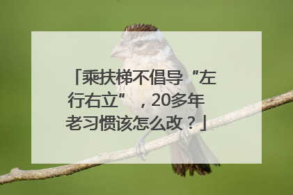 乘扶梯不倡导“左行右立”，20多年老习惯该怎么改？