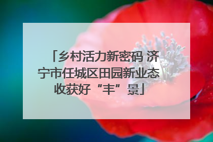 乡村活力新密码 济宁市任城区田园新业态收获好“丰”景