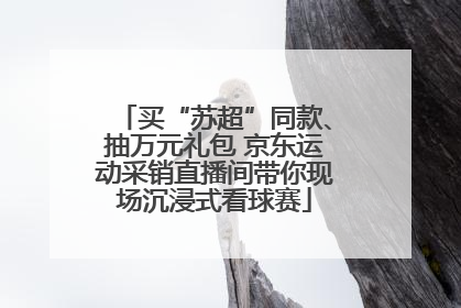 买“苏超”同款、抽万元礼包 京东运动采销直播间带你现场沉浸式看球赛