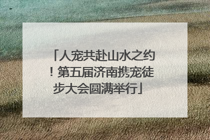 人宠共赴山水之约！第五届济南携宠徒步大会圆满举行