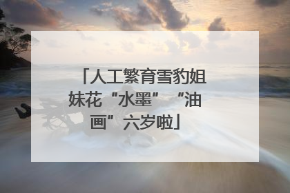 人工繁育雪豹姐妹花“水墨”“油画”六岁啦