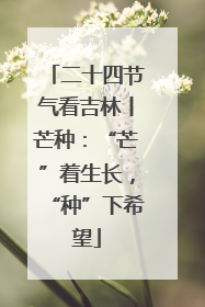 二十四节气看吉林丨芒种：“芒”着生长，“种”下希望
