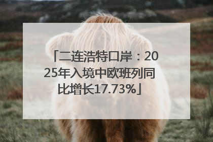 二连浩特口岸：2025年入境中欧班列同比增长17.73%