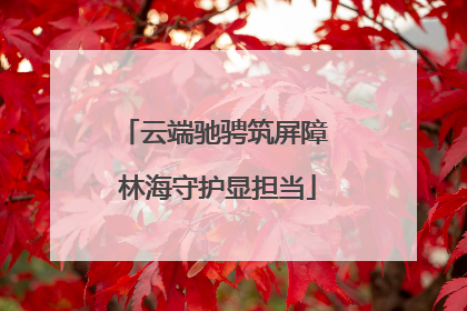 云端驰骋筑屏障 林海守护显担当
