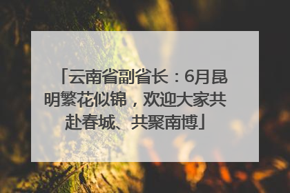 云南省副省长：6月昆明繁花似锦，欢迎大家共赴春城、共聚南博