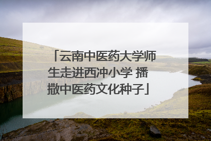 云南中医药大学师生走进西冲小学 播撒中医药文化种子