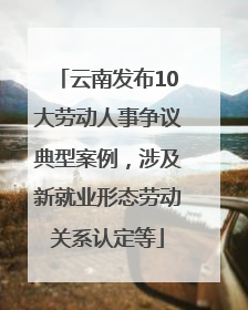 云南发布10大劳动人事争议典型案例，涉及新就业形态劳动关系认定等
