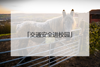 交通安全进校园