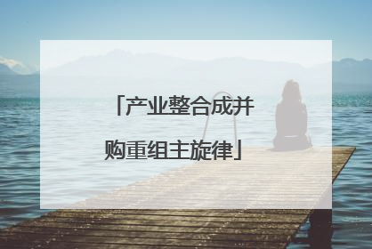 产业整合成并购重组主旋律