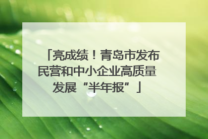 亮成绩！青岛市发布民营和中小企业高质量发展“半年报”