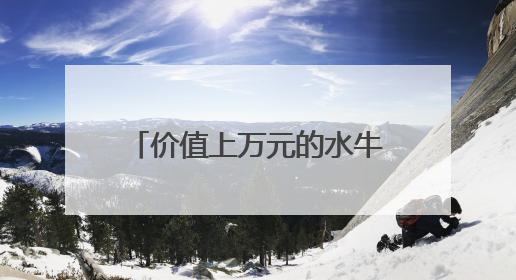 价值上万元的水牛不见了 民警用无人机发现其踪迹