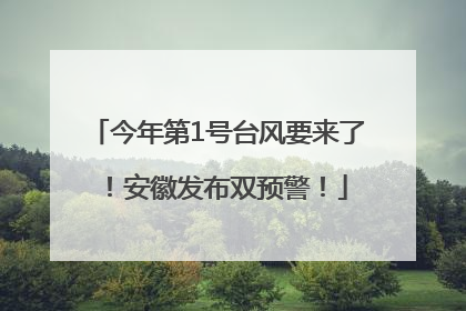今年第1号台风要来了！安徽发布双预警！
