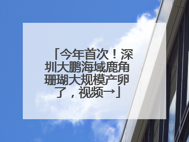 今年首次！深圳大鹏海域鹿角珊瑚大规模产卵了，视频→