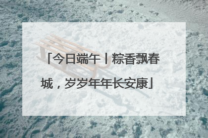 今日端午丨粽香飘春城，岁岁年年长安康