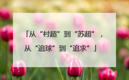 从“村超”到“苏超”，从“追球”到“追求”