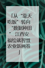 从“靠天吃饭”转向“数据种田” 江西安福绘就智慧农业新画卷