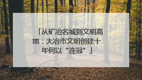 从矿冶名城到文明高地：大冶市文明创建十年何以“连冠”