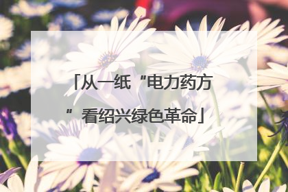 从一纸“电力药方”看绍兴绿色革命