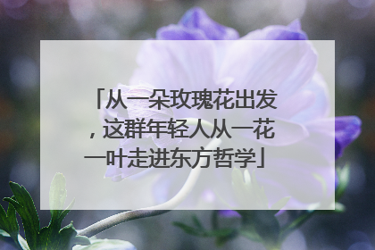 从一朵玫瑰花出发，这群年轻人从一花一叶走进东方哲学