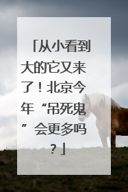 从小看到大的它又来了！北京今年“吊死鬼”会更多吗？