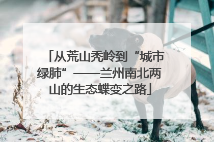 从荒山秃岭到“城市绿肺”——兰州南北两山的生态蝶变之路