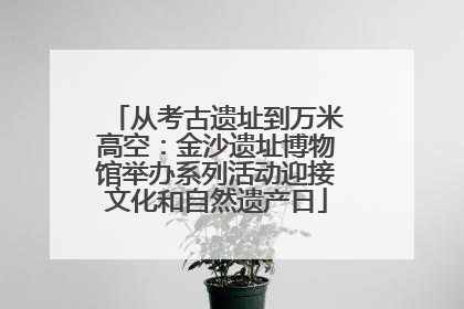 从考古遗址到万米高空：金沙遗址博物馆举办系列活动迎接文化和自然遗产日