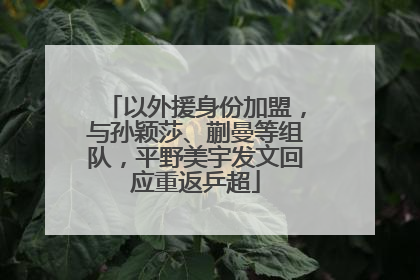 以外援身份加盟，与孙颖莎、蒯曼等组队，平野美宇发文回应重返乒超