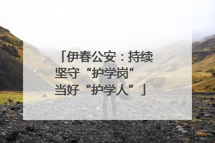 伊春公安：持续坚守“护学岗” 当好“护学人”