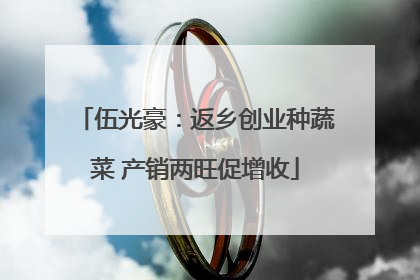 伍光豪：返乡创业种蔬菜 产销两旺促增收