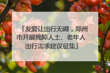 友爱让出行无碍，郑州市开展残障人士、老年人出行需求建议征集