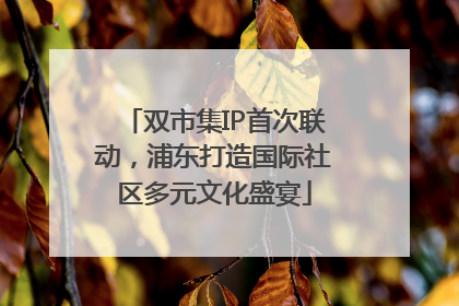 双市集IP首次联动，浦东打造国际社区多元文化盛宴