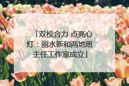 双校合力 点亮心灯：丽水新和两地班主任工作室成立