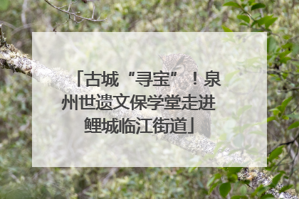 古城“寻宝”！泉州世遗文保学堂走进鲤城临江街道