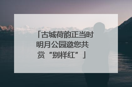 古城荷韵正当时 明月公园邀您共赏“别样红”