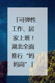 可弹性工作、居家上班！湖北全面推行“妈妈岗”