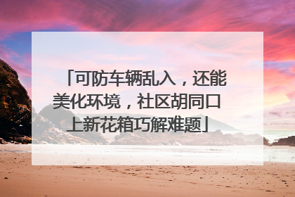 可防车辆乱入，还能美化环境，社区胡同口上新花箱巧解难题